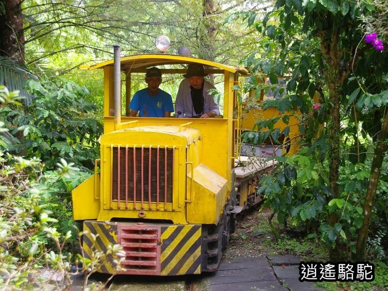 盛夏的軌跡搭小火車-花蓮駱駝