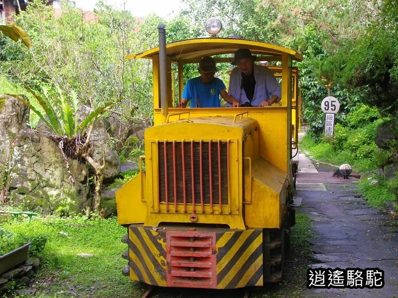 盛夏的軌跡搭小火車-花蓮駱駝