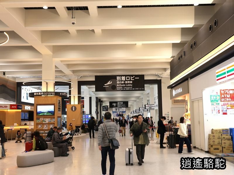 初訪熊本機場-日本駱駝