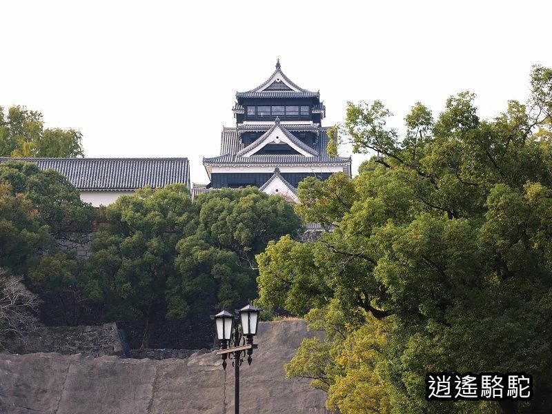 重遊四百年歷史的熊本城-日本駱駝