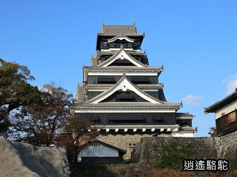 重遊四百年歷史的熊本城-日本駱駝