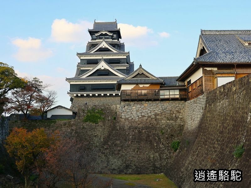 重遊四百年歷史的熊本城-日本駱駝