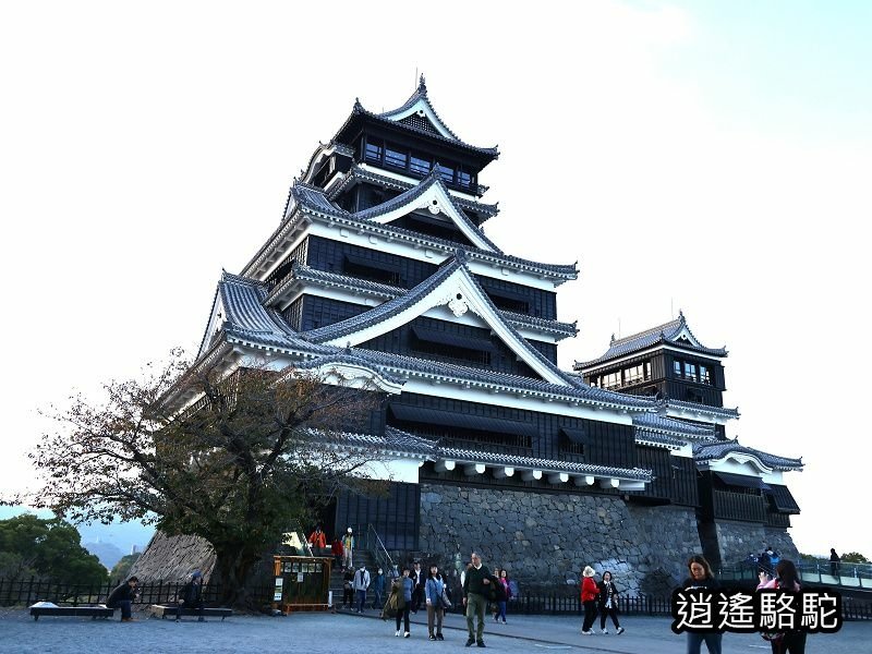 重遊四百年歷史的熊本城-日本駱駝