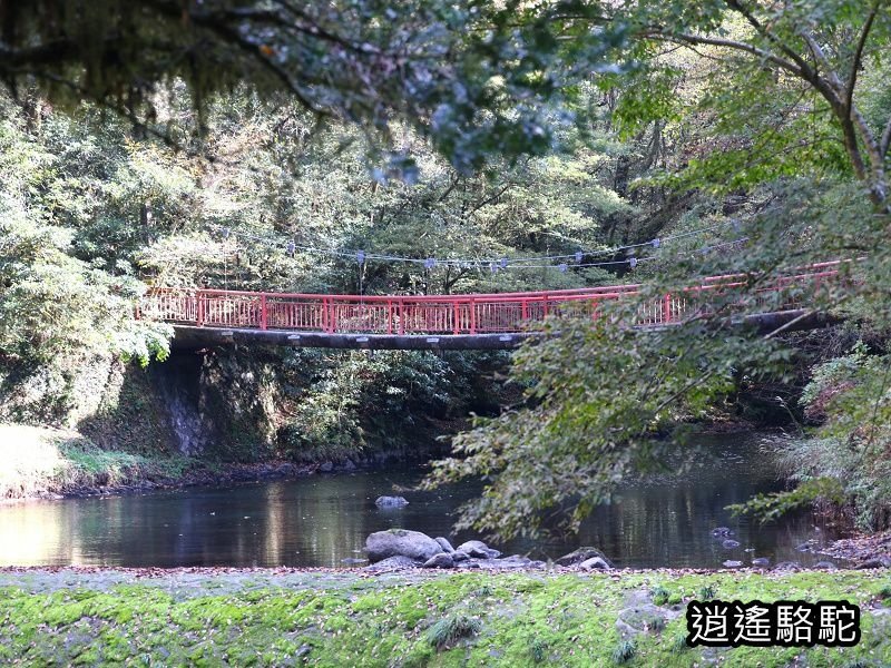 菊池溪谷游客中心-日本駱駝