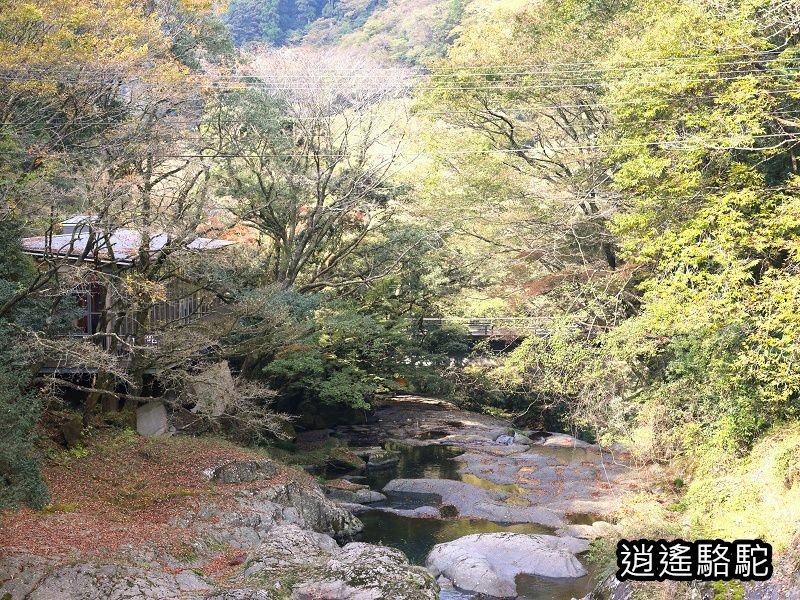 菊池溪谷游客中心-日本駱駝