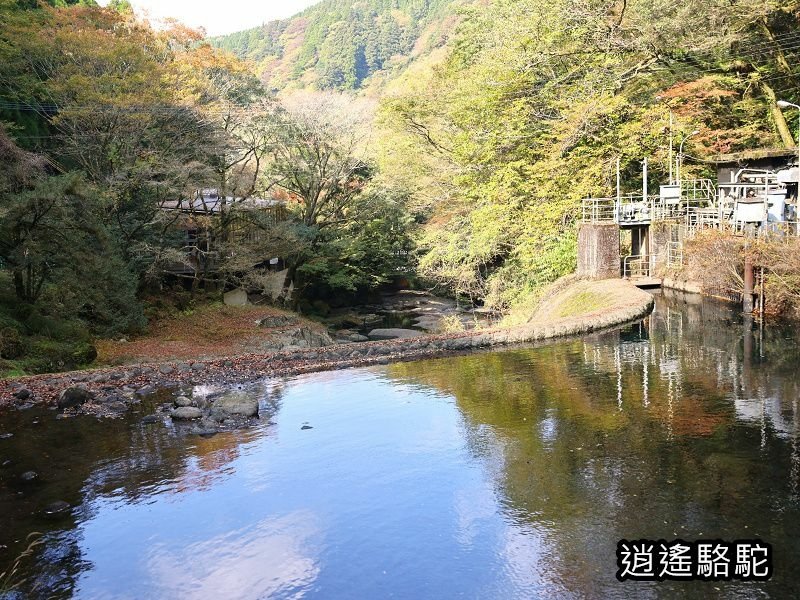 菊池溪谷游客中心-日本駱駝