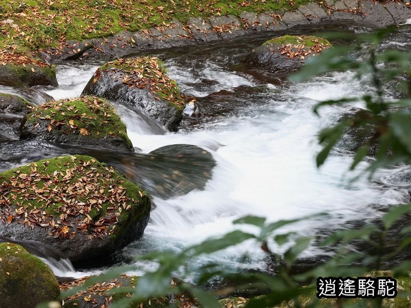 菊池溪谷游客中心-日本駱駝