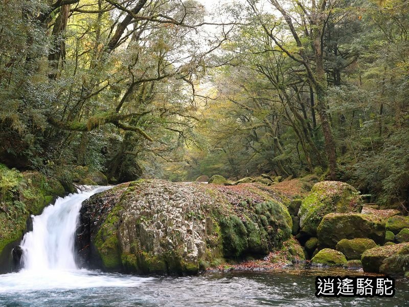 黎明瀑布(菊池溪谷)-日本駱駝