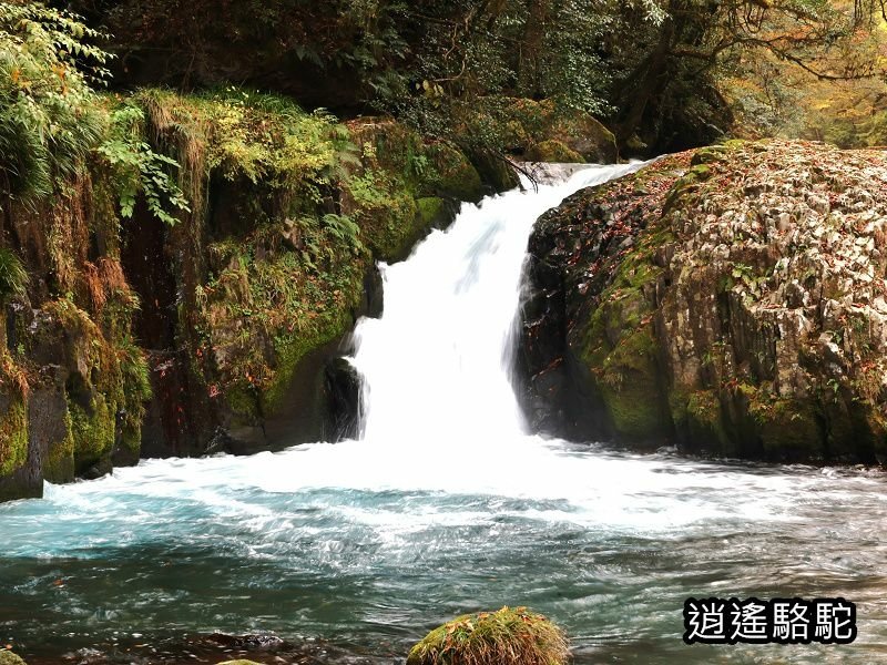 黎明瀑布(菊池溪谷)-日本駱駝