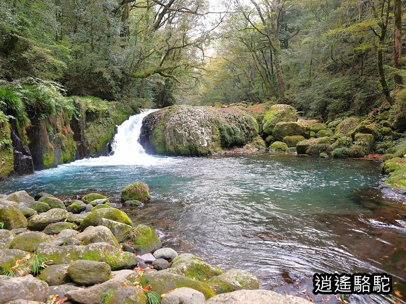 黎明瀑布(菊池溪谷)-日本駱駝