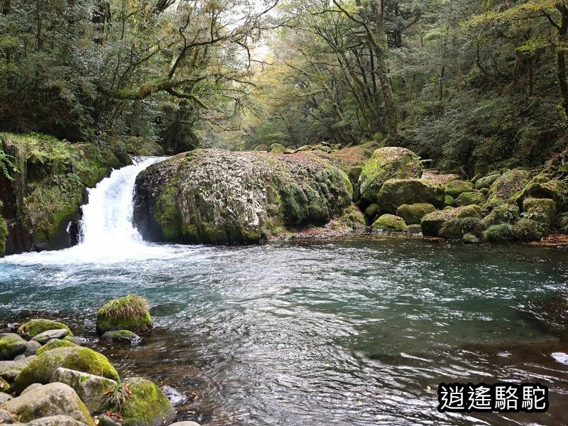 黎明瀑布(菊池溪谷)-日本駱駝