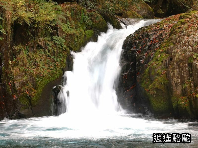 黎明瀑布(菊池溪谷)-日本駱駝