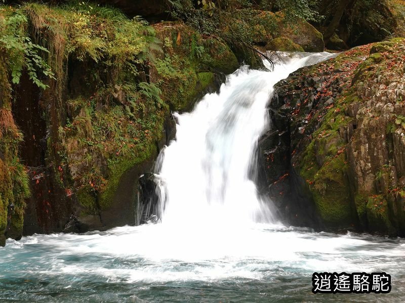 黎明瀑布(菊池溪谷)-日本駱駝