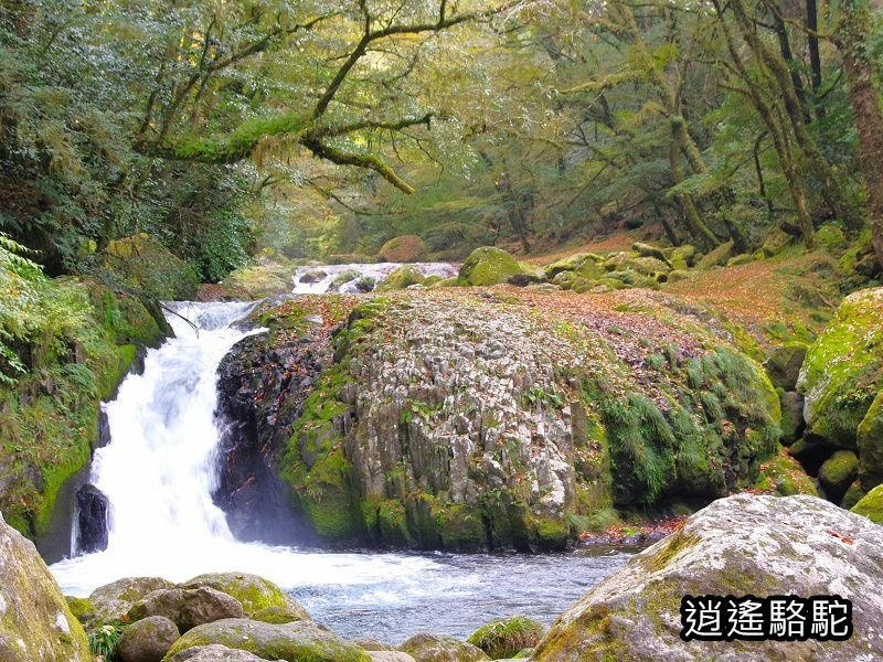 黎明瀑布(菊池溪谷)-日本駱駝