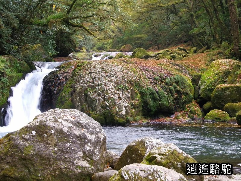 黎明瀑布(菊池溪谷)-日本駱駝