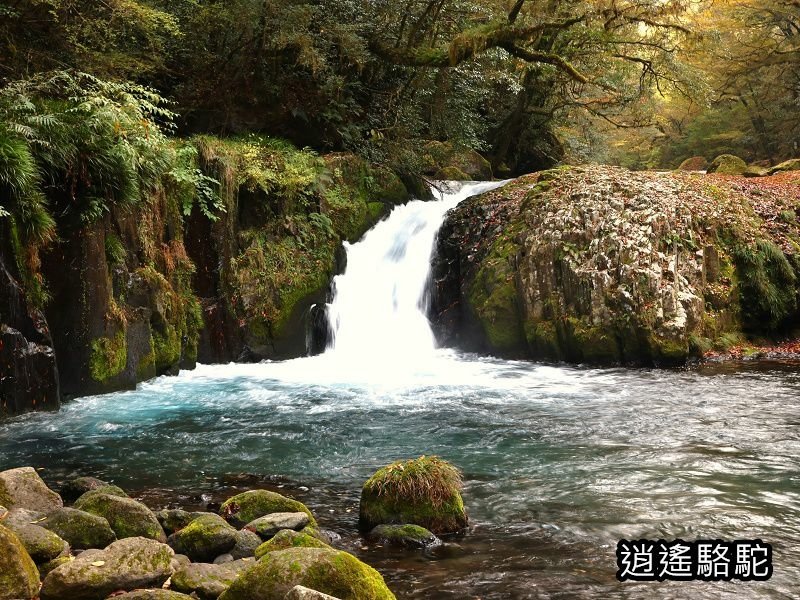 黎明瀑布(菊池溪谷)-日本駱駝