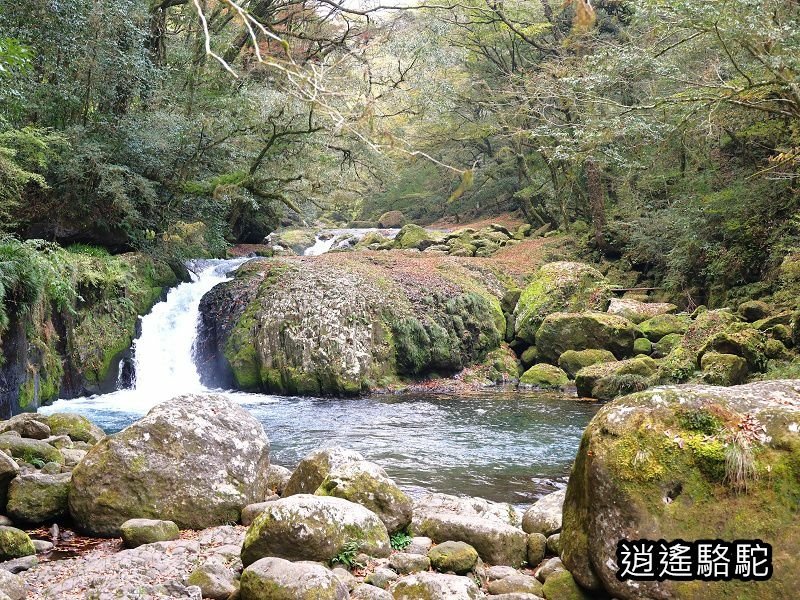 黎明瀑布(菊池溪谷)-日本駱駝