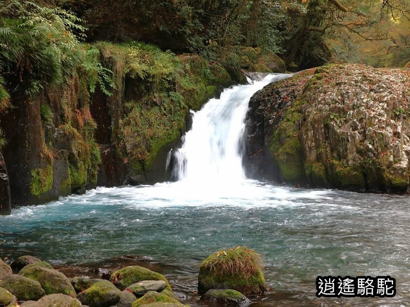 黎明瀑布(菊池溪谷)-日本駱駝