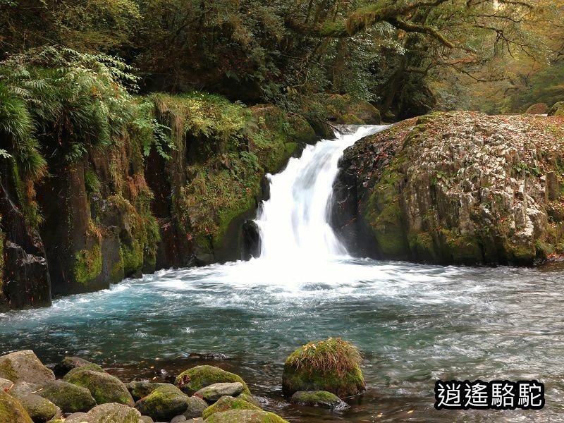 黎明瀑布(菊池溪谷)-日本駱駝