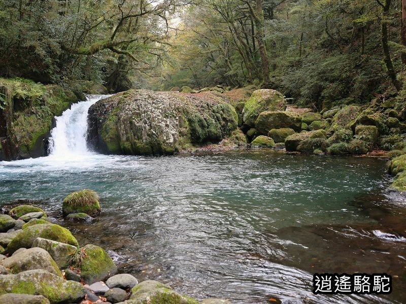 黎明瀑布(菊池溪谷)-日本駱駝