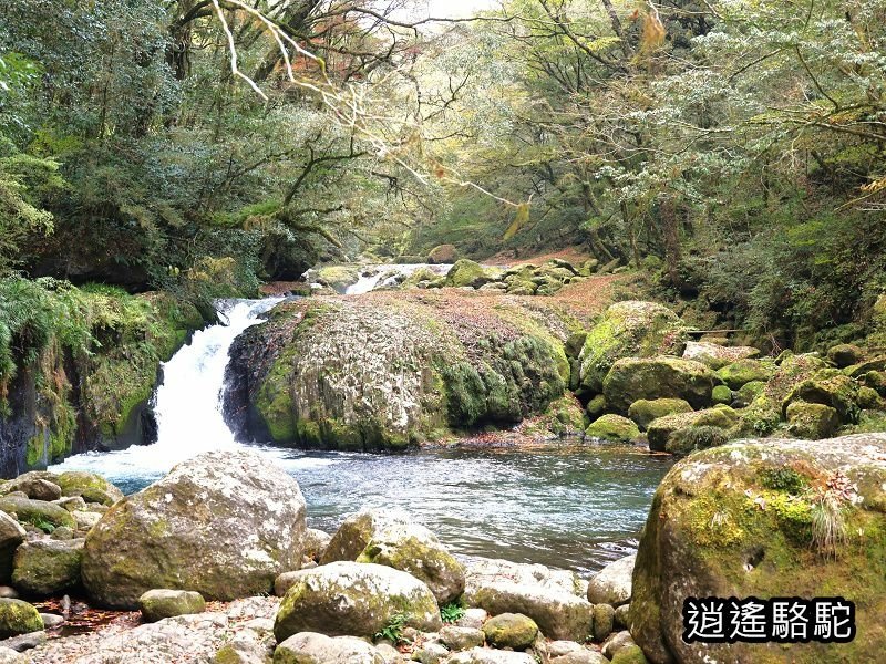 黎明瀑布(菊池溪谷)-日本駱駝