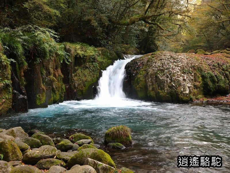 黎明瀑布(菊池溪谷)-日本駱駝