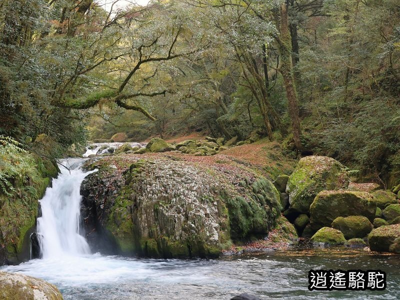 黎明瀑布(菊池溪谷)-日本駱駝