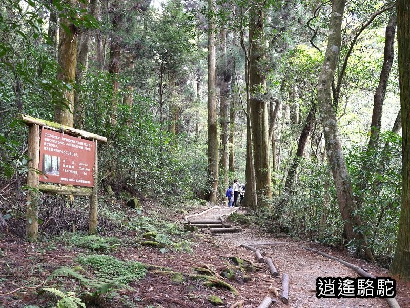 黎明瀑布(菊池溪谷)-日本駱駝