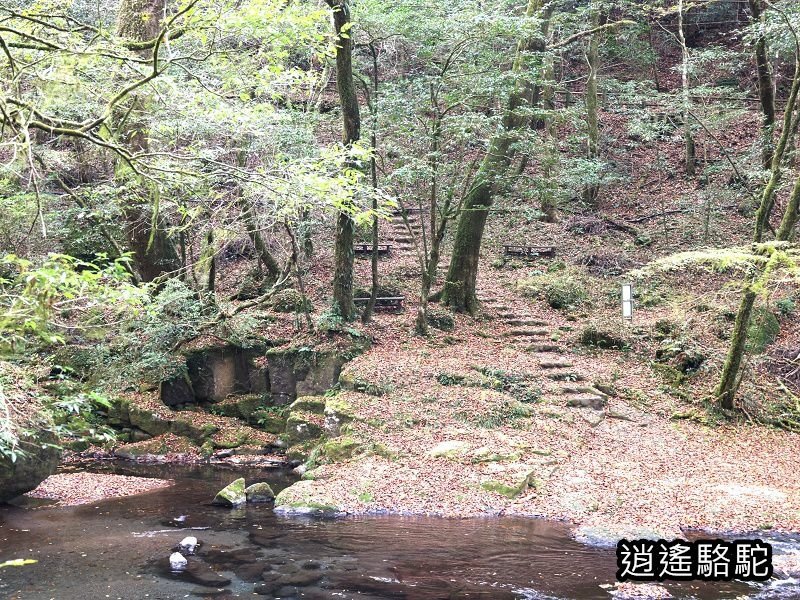 紅葉ヶ瀬(菊池溪谷)-日本駱駝