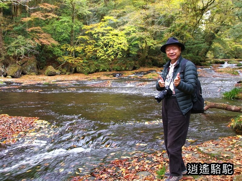 廣河原橋上游超滿喫-日本駱駝