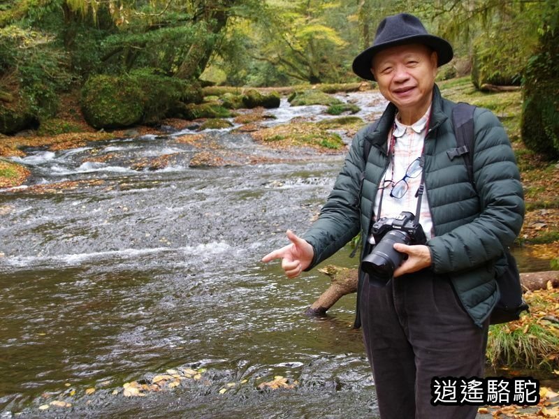 廣河原橋上游超滿喫-日本駱駝