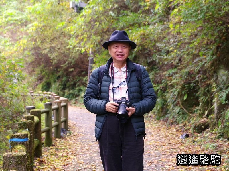 廣河原橋上游超滿喫-日本駱駝