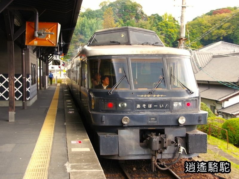 搭阿蘇男孩到豐後竹田車站-日本駱駝