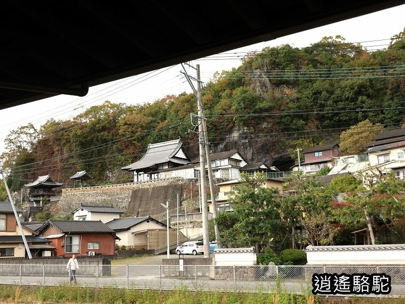 搭阿蘇男孩到豐後竹田車站-日本駱駝