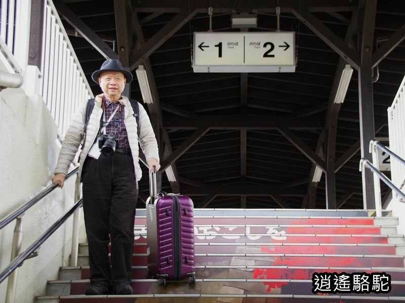 搭阿蘇男孩到豐後竹田車站-日本駱駝