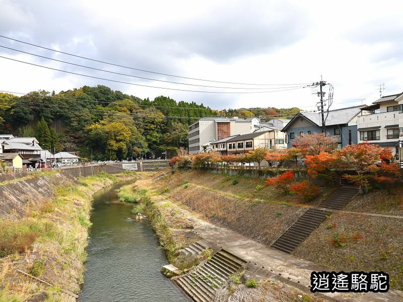 搭阿蘇男孩到豐後竹田車站-日本駱駝