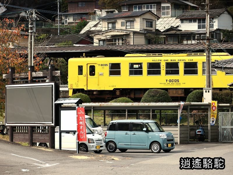 搭阿蘇男孩到豐後竹田車站-日本駱駝