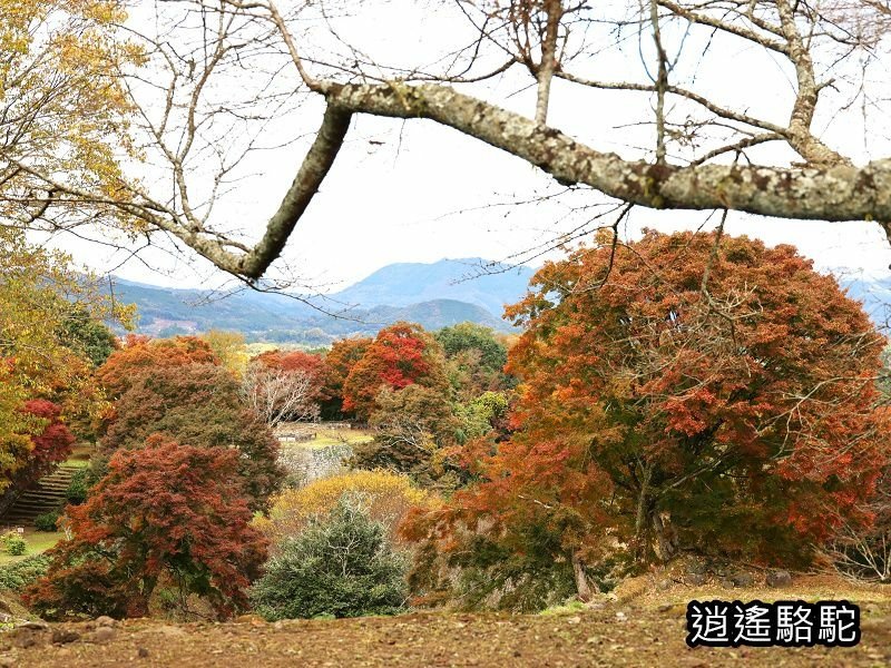 西の丸跡(岡城跡)-日本駱駝