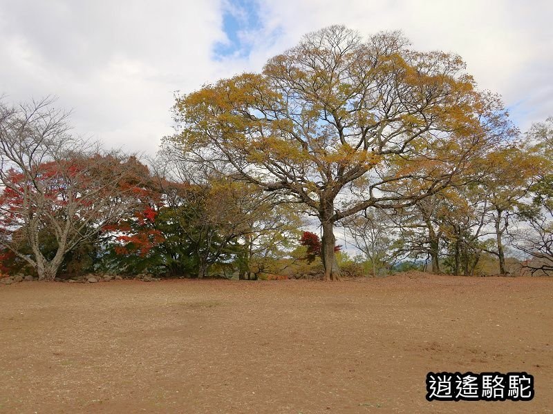 西の丸跡(岡城跡)-日本駱駝