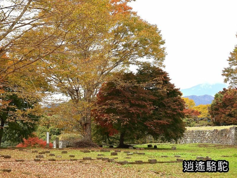 西の丸跡(岡城跡)-日本駱駝