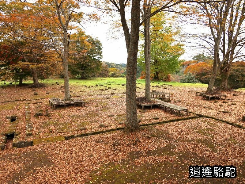 西の丸跡(岡城跡)-日本駱駝