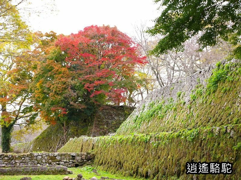 西の丸跡(岡城跡)-日本駱駝