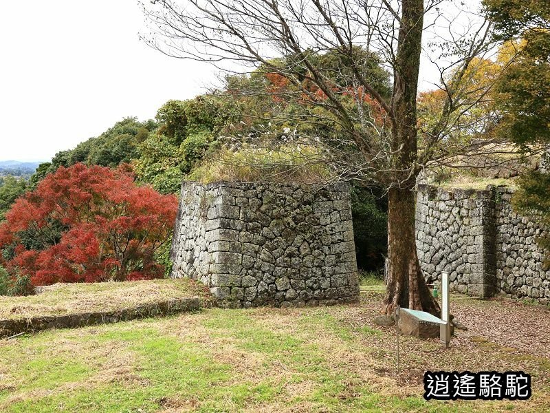 西の丸跡(岡城跡)-日本駱駝