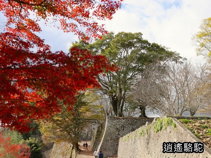 西の丸跡(岡城跡)-日本駱駝