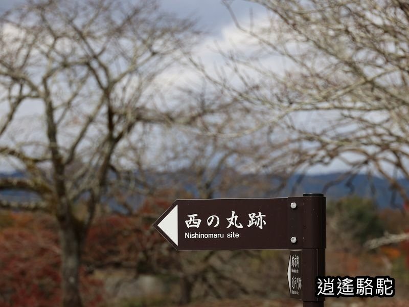 西の丸跡(岡城跡)-日本駱駝