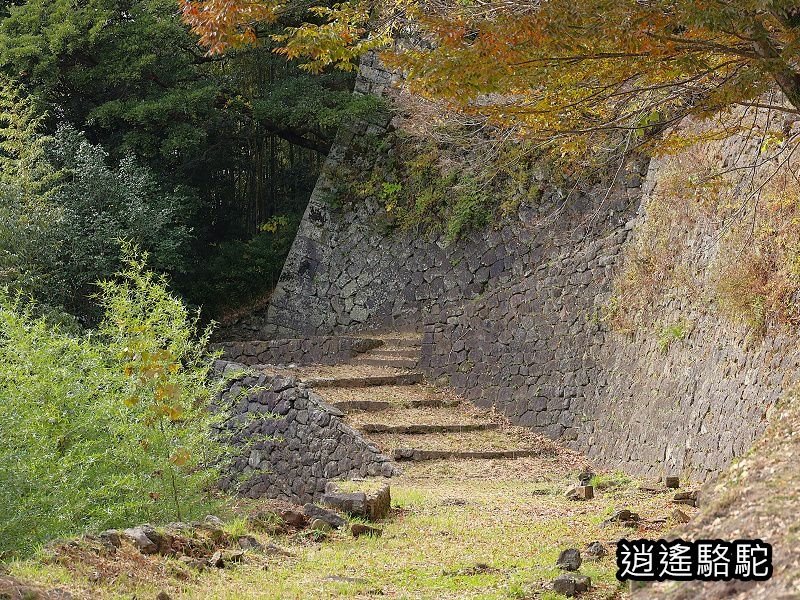 西の丸跡(岡城跡)-日本駱駝