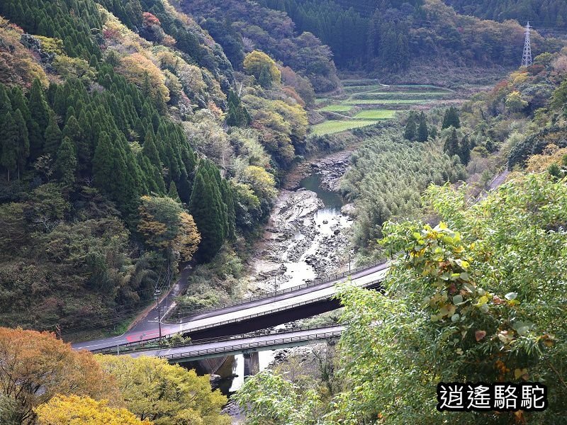 西の丸跡(岡城跡)-日本駱駝