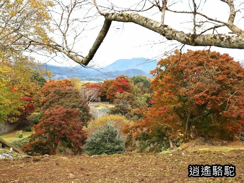 西の丸跡(岡城跡)-日本駱駝