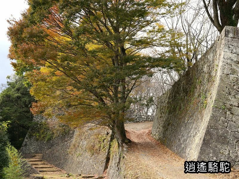 西の丸跡(岡城跡)-日本駱駝