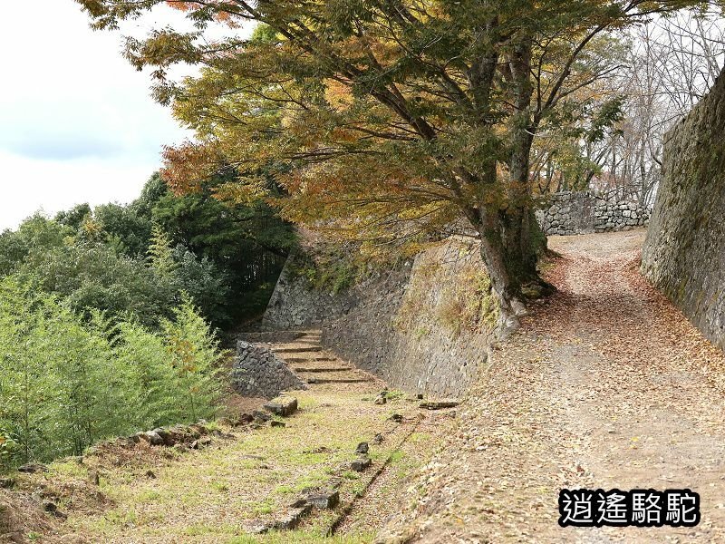 西の丸跡(岡城跡)-日本駱駝